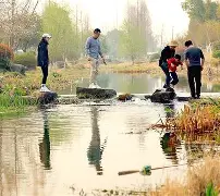 开云体育 -包含??lqt*B桗慶G溛d